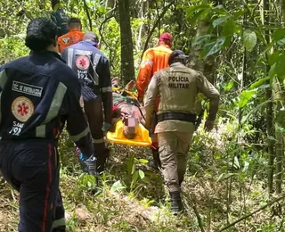 Idoso desaparecido há 30 dias é encontrado em área de mata na RMS