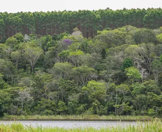 Justiça ambiental