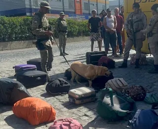 Mulheres são presas com malas de drogas dentro de ônibus na Bahia