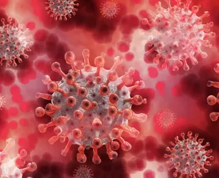 Novo coronavirus é descoberto na China