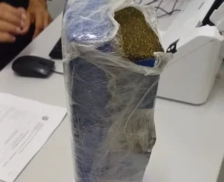 PRF apreende maconha embalada para presente na BR-304