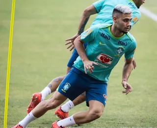 Palmeiras busca reforço meio-campista na Liga Inglesa