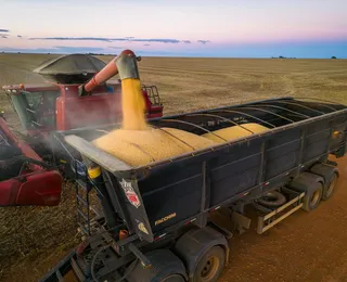 O que agricultores recebem versus o que nós consumidores pagamos