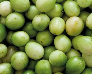 Umbu fortalece agricultura familiar e aquece a economia do semiárido - Imagem