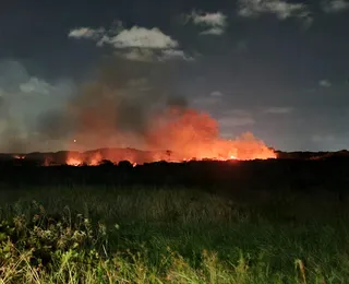 Vídeo: incêndio atinge área de mata em condomínio de Camaçari