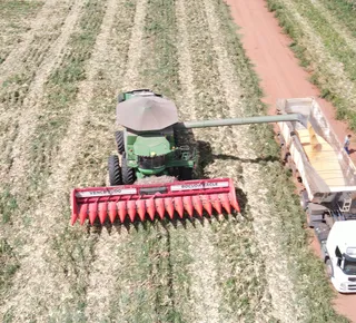 Para 76% da população, agro é fundamental - Imagem