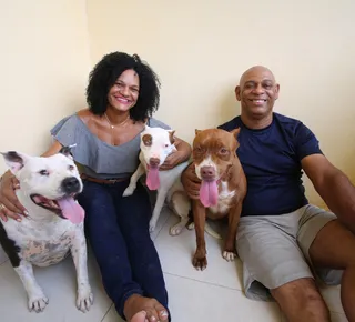 Pitbulls dóceis e afetuosos desfazem preconceitos - Imagem