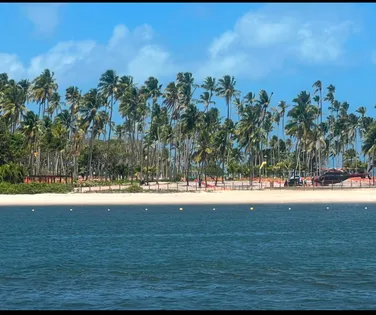 Conheça a história Praia dos Carneiros, uma das mais bonitas do Brasil - Imagem