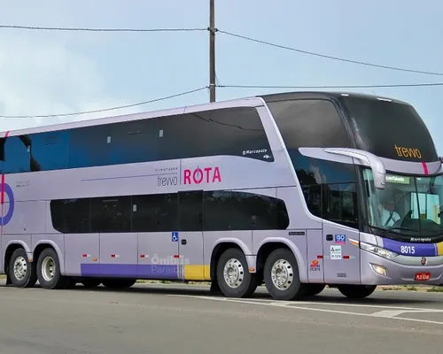 Passageiros são assaltados durante viagem de ônibus em rodovia baiana - Imagem