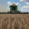 Agro mais inteligente impulsiona sustentabilidade no Oeste da Bahia - Imagem