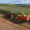 Bahia lidera exportações agrícolas do Nordeste no primeiro trimestre - Imagem