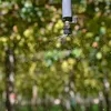 Fruticultura hi-tech: inovação norteia produção - Imagem
