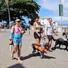Giardíase: Proteja seu pet e sua família com a vacinação - Imagem