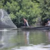Não faltou pescado, mas na pesca nem tudo na Bahia é um mar azul - Imagem