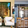 Plantas dentro de casa elevam qualidade de vida - Imagem