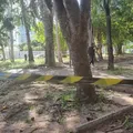 Adolescente é morto por policial durante tentativa de roubo imagem