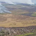 Alerta de desmatamento na Amazônia cresce e liga alerta no governo imagem