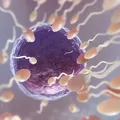 Anticoncepcional masculino: cientistas iniciam testes em humanos imagem