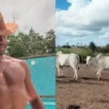 Após abrir loja de roupa, Davi Brito ingressa no agronegócio; confira imagem
