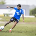 Bahia se reapresenta após empate na Libertadores com foco no Santos imagem