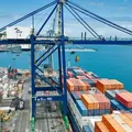 Cade aprova venda da Wilson Sons à MSC sem restrições imagem