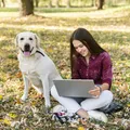 "Cães humanizados serão totalmente dependentes", diz adestrador imagem