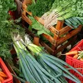 Cesta básica ideal chega a R$ 432; batata e tomate pesam no bolso imagem