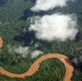 Cinco pessoas sobrevivem a queda de avião em pântano repleto de jacaré imagem
