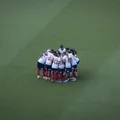 Cruzeiro x Bahia: onde assistir, prováveis escalações e mais imagem