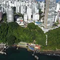 Das 44 áreas verdes vendidas pela Prefeitura em 2024, 17 eram consideradas sensíveis imagem