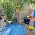 Dengue em queda: Bahia reduz casos em 86,1% e intensifica combate no sudoeste imagem