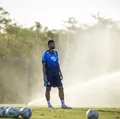É o Ba-vi. Não tem jeito imagem