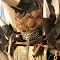 GRATUITO: Exposição de Jayme Fygura chega à CAIXA Cultural Salvador imagem
