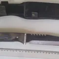 Homem é preso após matar irmão a facadas em cidade da Bahia imagem