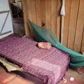 Homem é preso suspeito de estuprar e maltratar a mãe de 98 anos imagem