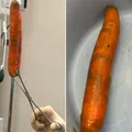Homem introduz cenoura no ânus e médico faz apelo: "Parem!" imagem