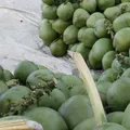 Homem morre após consumir coco guardado fora da geladeira imagem