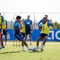 Modo arame farpado tricolor imagem