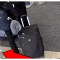 Mulher é presa suspeita de matar o próprio cachorro em aeroporto imagem