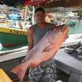 Pescadores artesanais garantem item tradicional na ceia da Semana Santa imagem