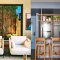 Plantas dentro de casa elevam qualidade de vida imagem