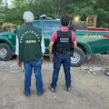 Polícia Federal descobre centro ilegal de animais silvestres na Bahia imagem