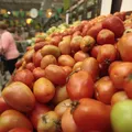 Preços do ovo e café caem e tomate dispara em 15% em abril, diz IBGE imagem