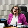 Senado debate novo Plano Nacional de Educação nesta terça imagem