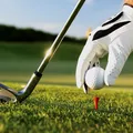 VÍDEO: juiz surpreende ao aparecer jogando golfe durante sessão imagem