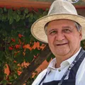 Vinhos "Made in Bahia” imagem
