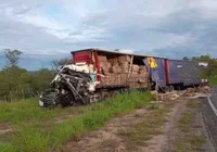 Acidente entre caminhões em estrada da Bahia deixa motorista morto imagem