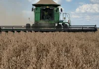 Agro mais inteligente impulsiona sustentabilidade no Oeste da Bahia