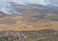 Alerta de desmatamento na Amazônia cresce e liga alerta no governo imagem