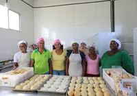 Alimentação escolar impulsiona agricultura familiar